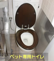 �y�b�g��p�g�C��